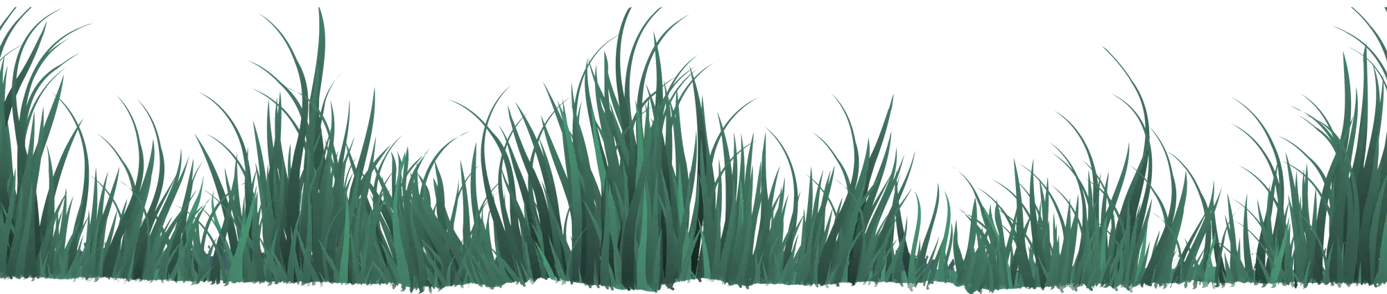 grass overlay